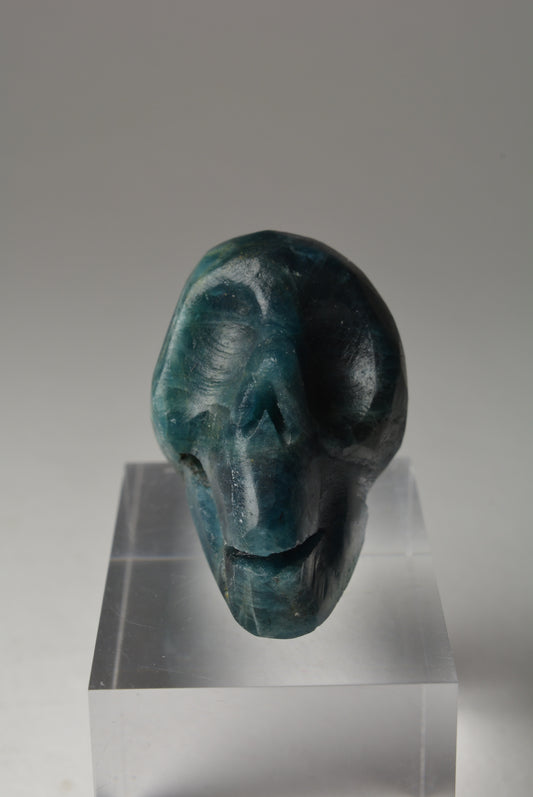 Apatite Skull