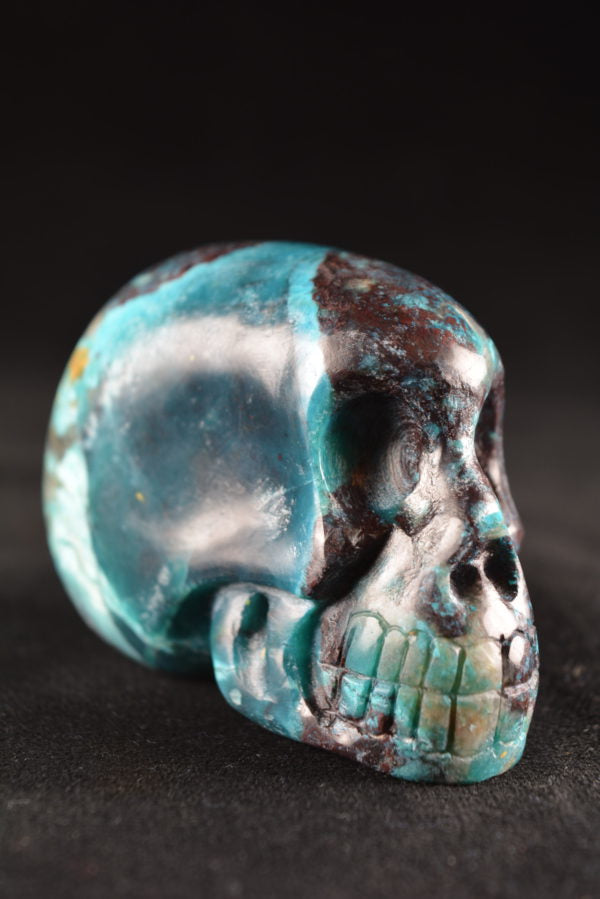 Chrysocolla Skull