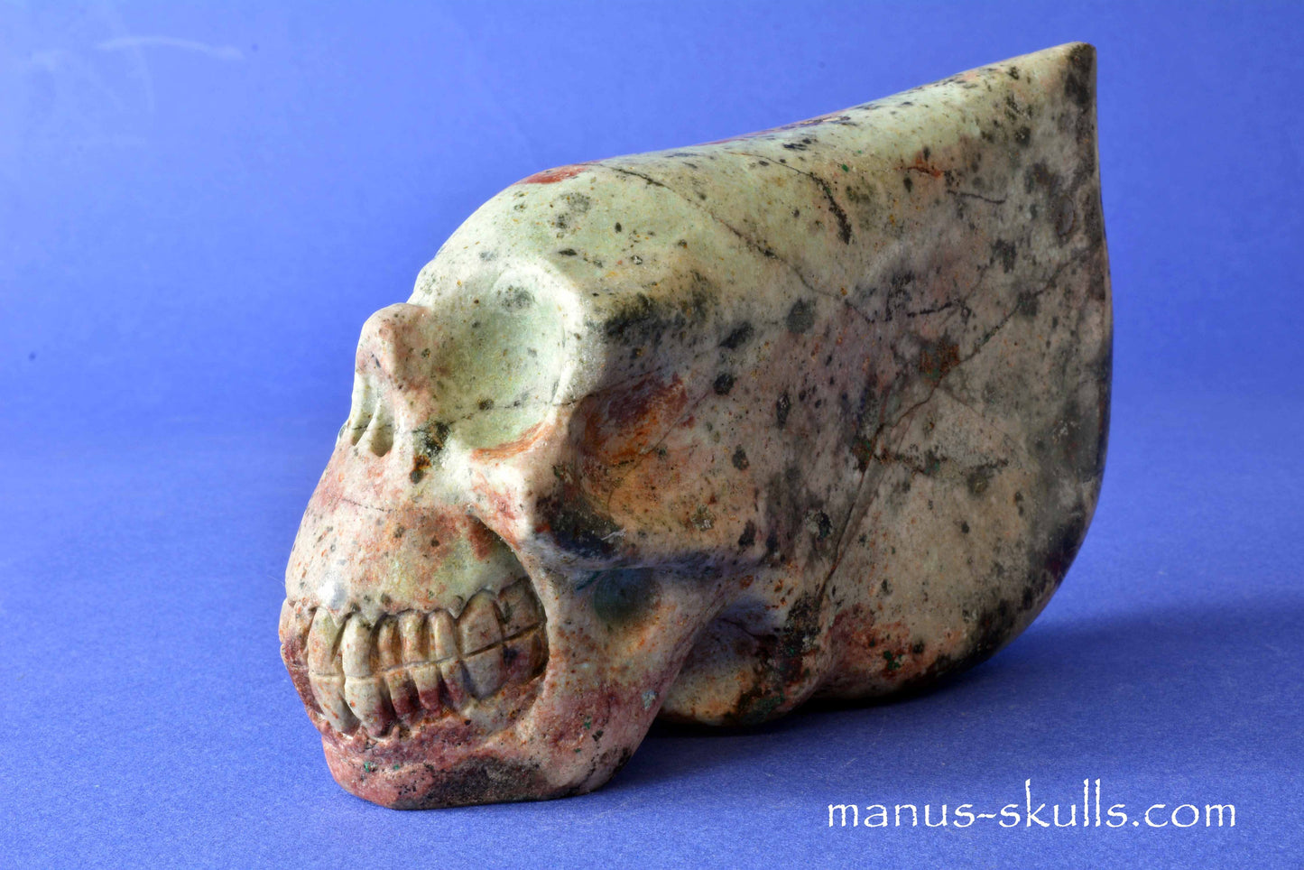Eilat Stone Conehead Skull