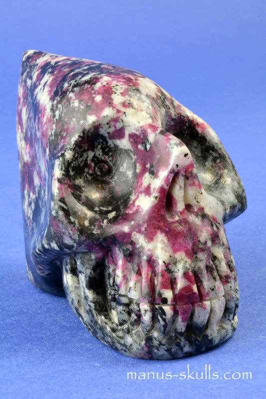 Eudialyte Conehead Skull