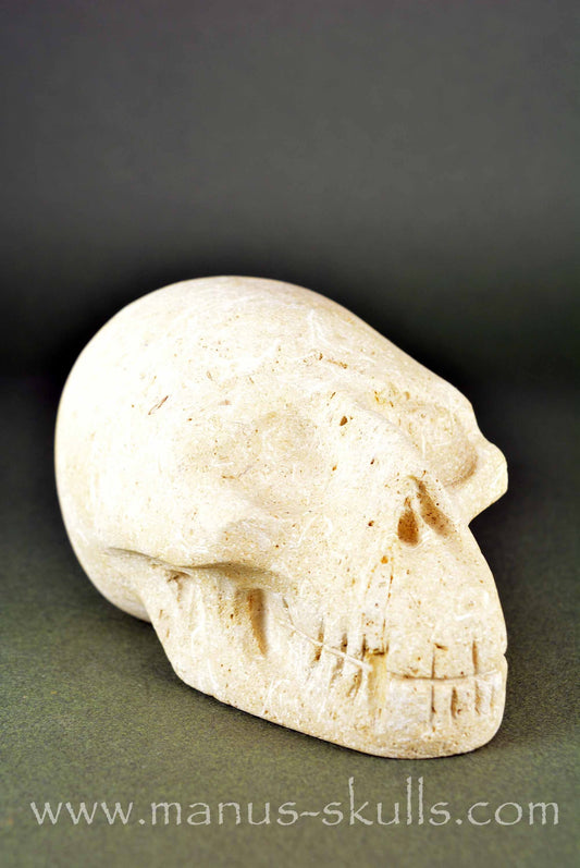 French Limestone Skull