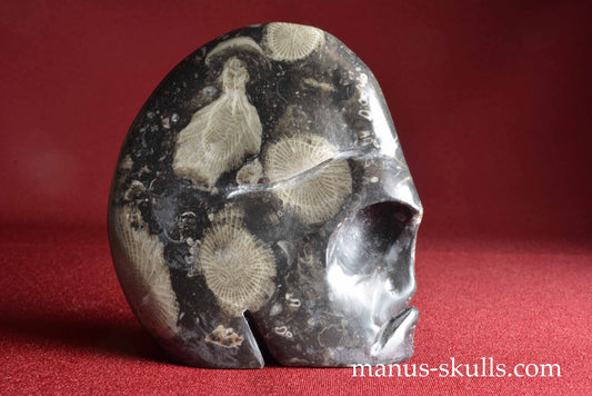 Frosterley Marble Skull