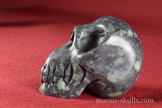 Lakelandite Skull