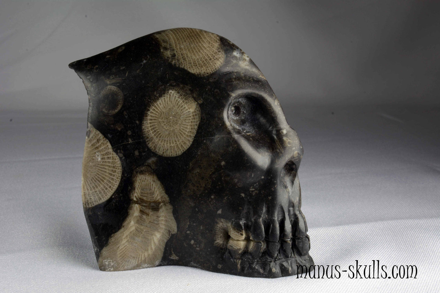 Frosterley Marble Skull