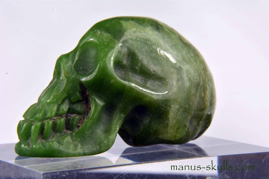 Greenlandite Skull