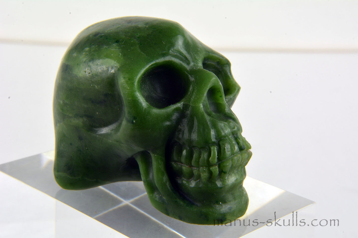 Greenlandite Skull