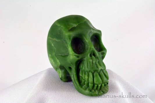 Greenlandite Skull