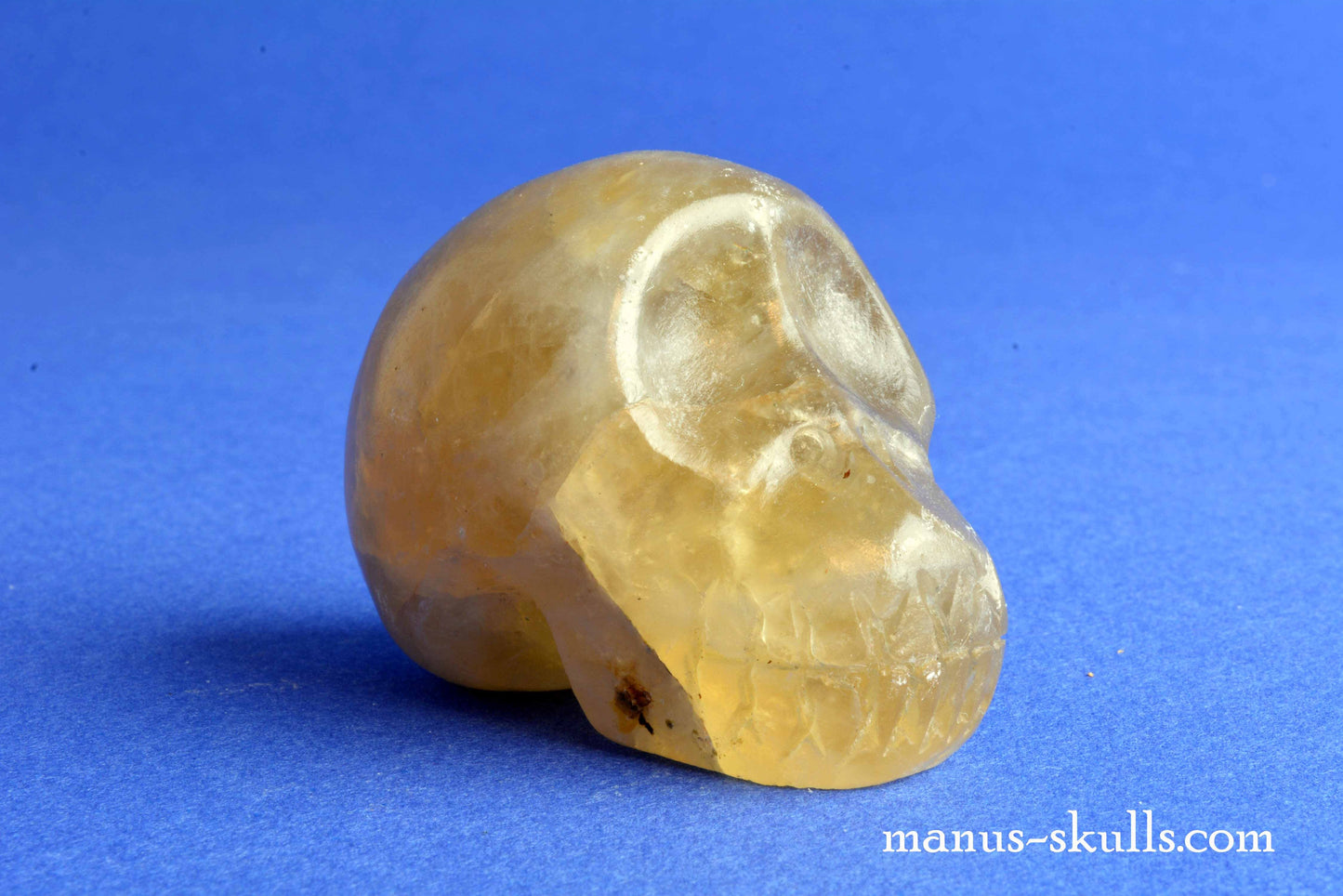 Golden topaz Skull