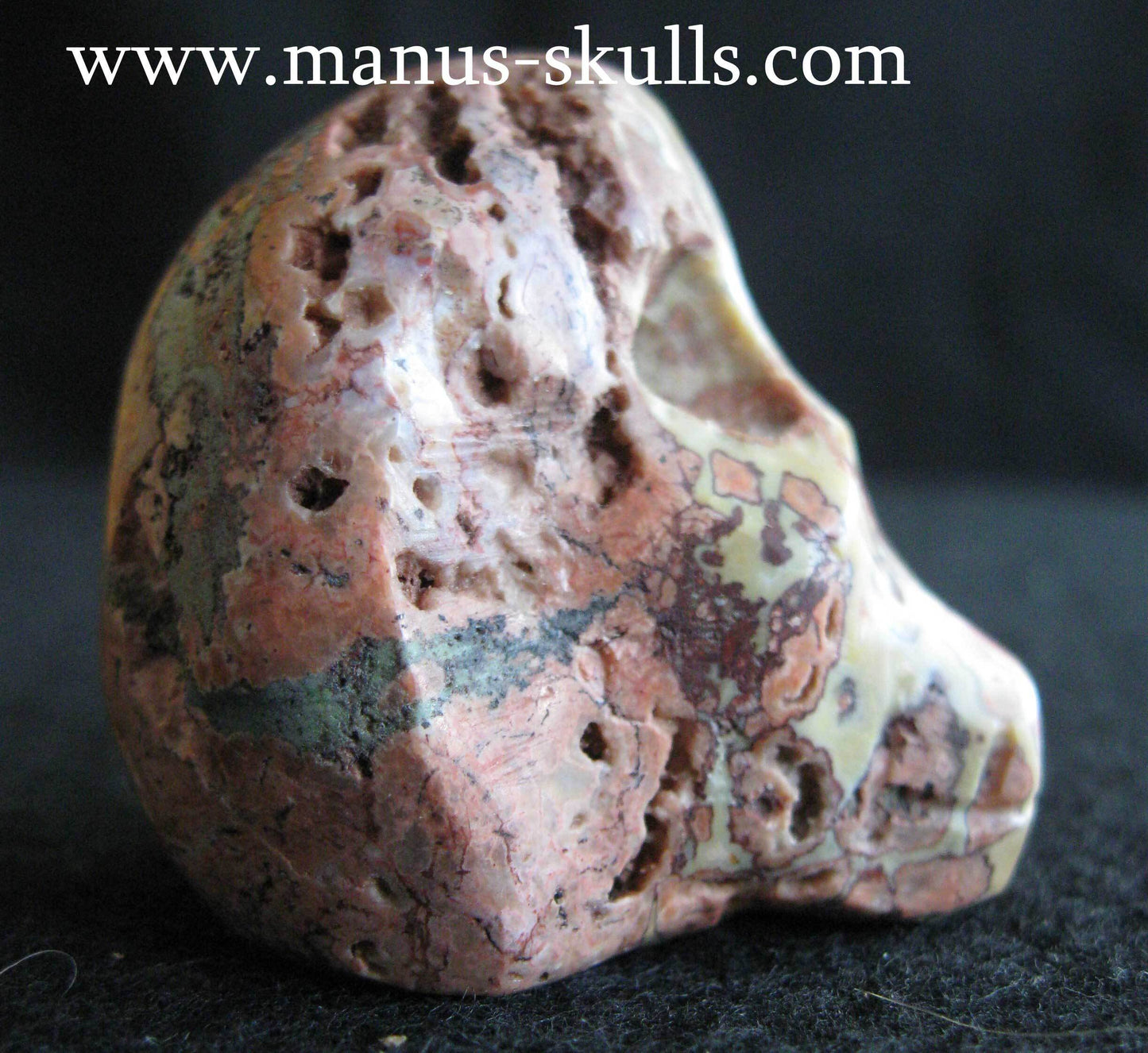 Lace Agate Skull