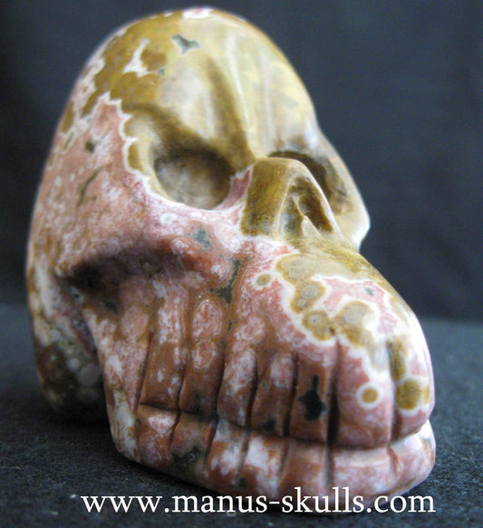 Ocean Jasper Skull