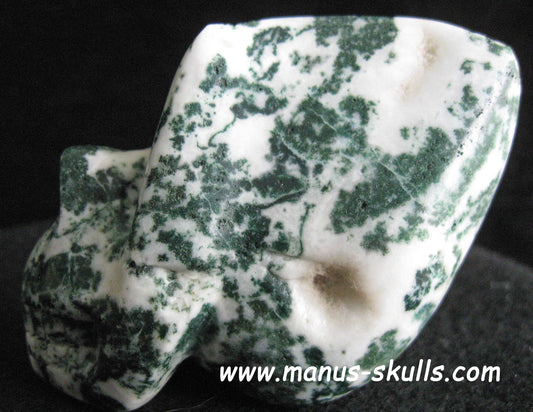 Moss Agate Skull