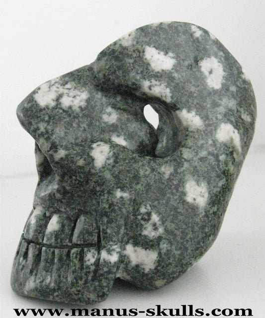 Preseli Bluestone Skull