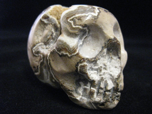 Aragonite ~ Calcite Skull