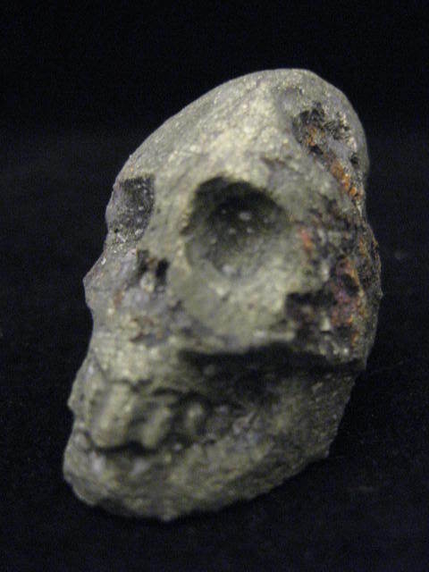 Bornite Skull