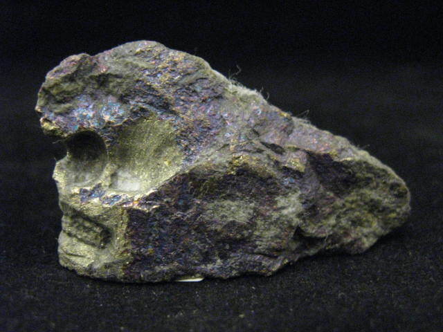 Bornite Skull