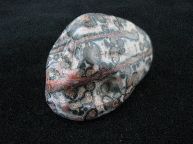 Leopard Skin Jasper Skull