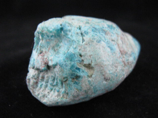 Chrysocolla Skull