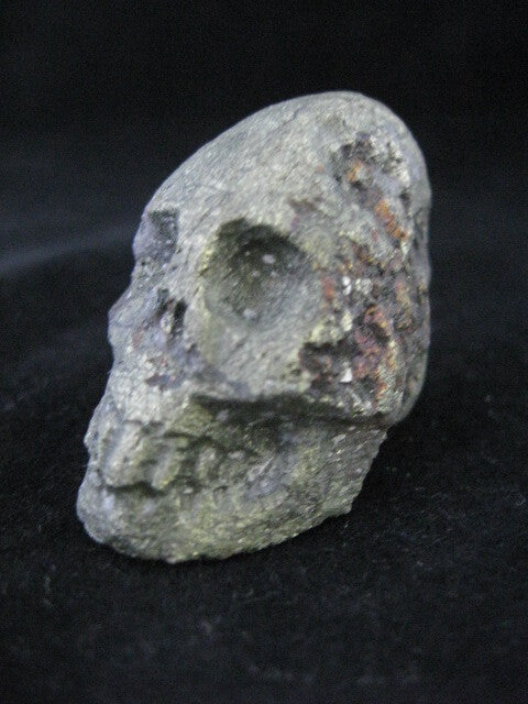 Bronzite Skull