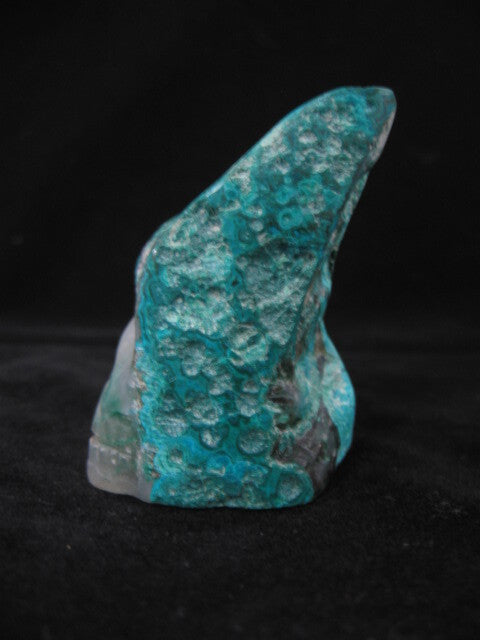 Chrysocolla Skull