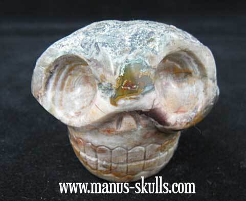 Lierbach Agate Lithophyse Skull