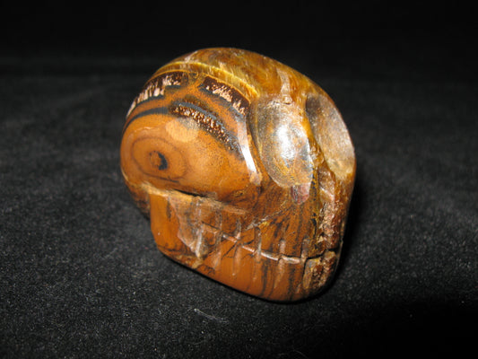 Tiger Eye Skull