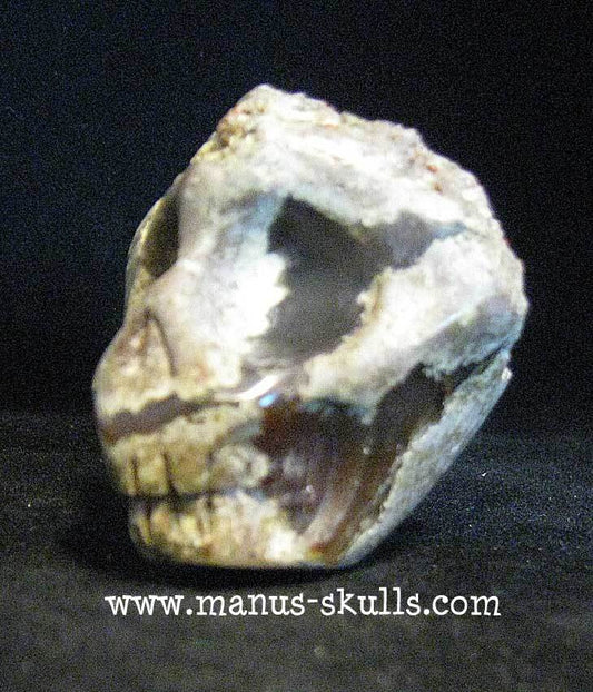 Thunderegg Lithophyse Skull