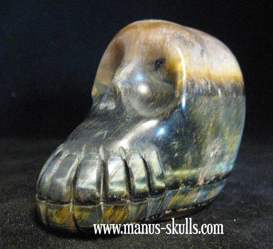 Falcon Eye Skull