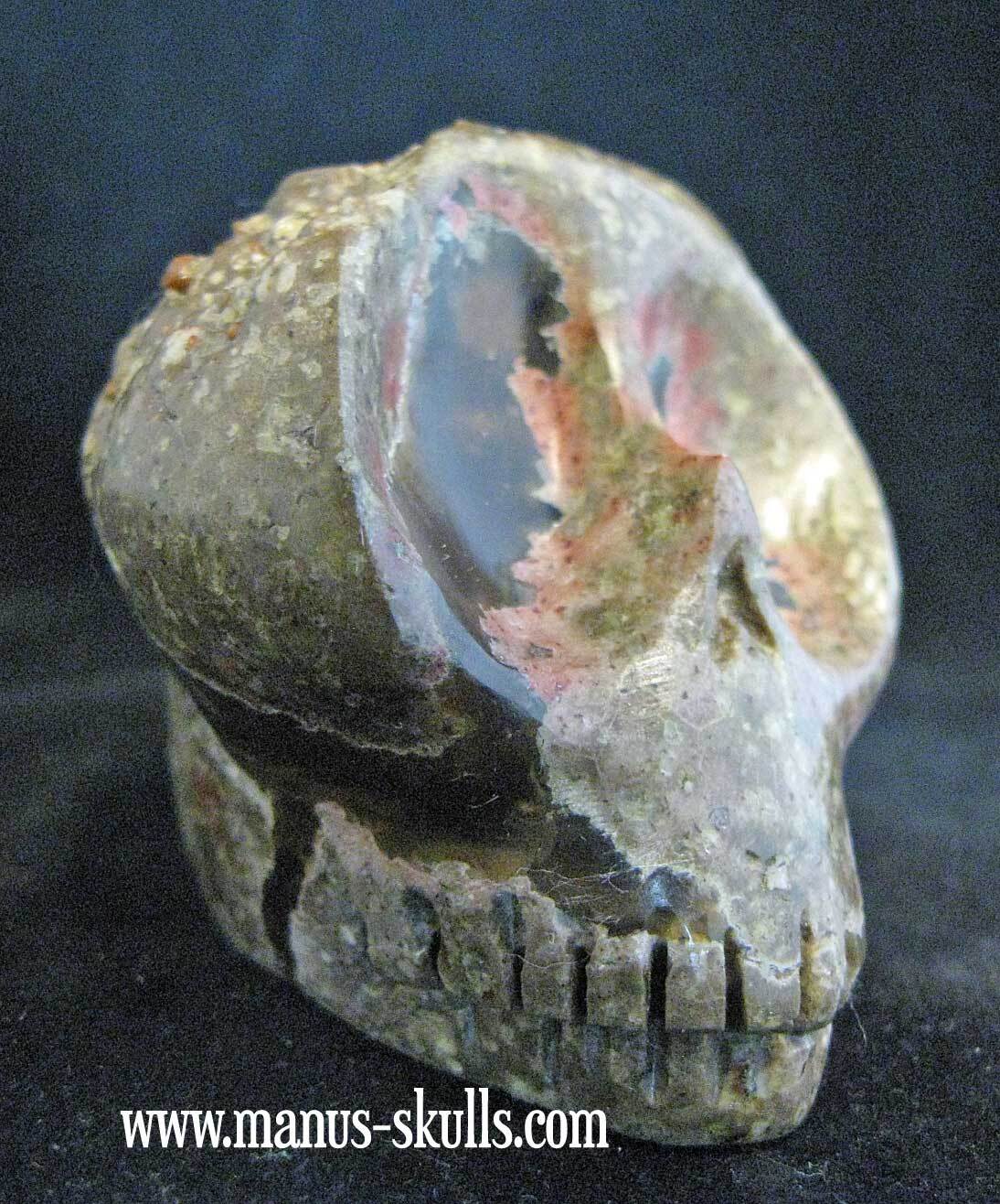 Lithophyse Thunderegg Skull