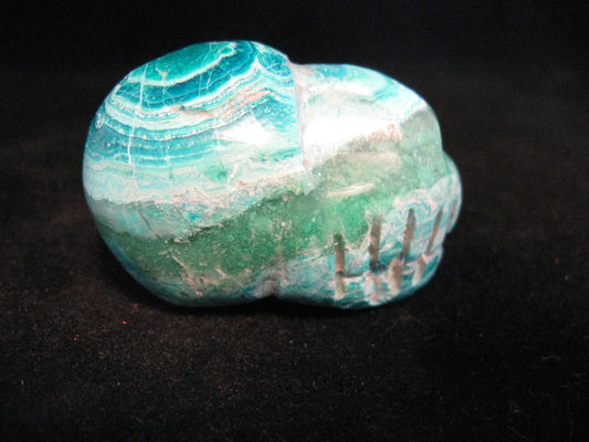 Chrysocolla Skull