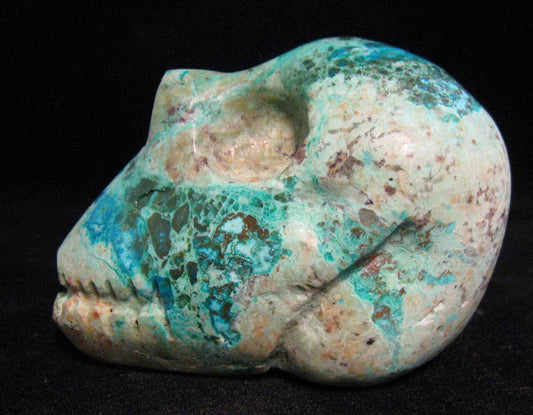 Chrysocolla Skull