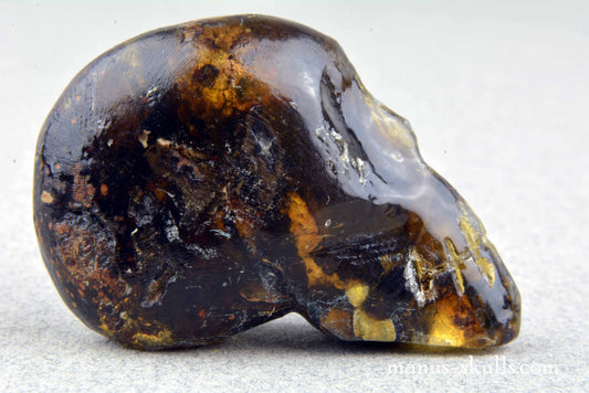 Indonesian Amber Skull