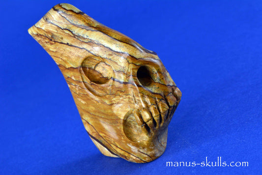 Landscape Jasper Skull