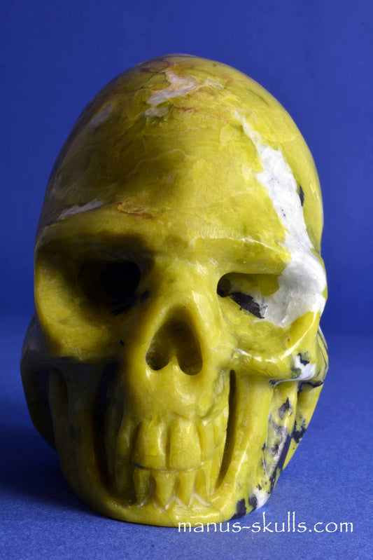 Lizardite Skull