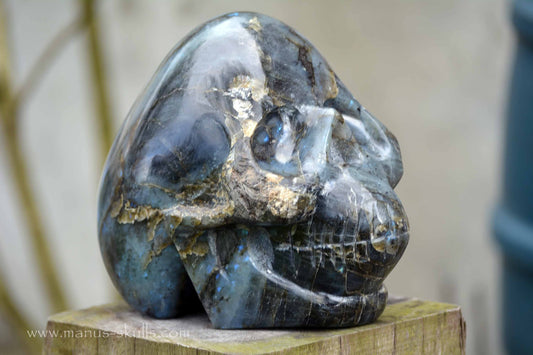 Labradorite Skull