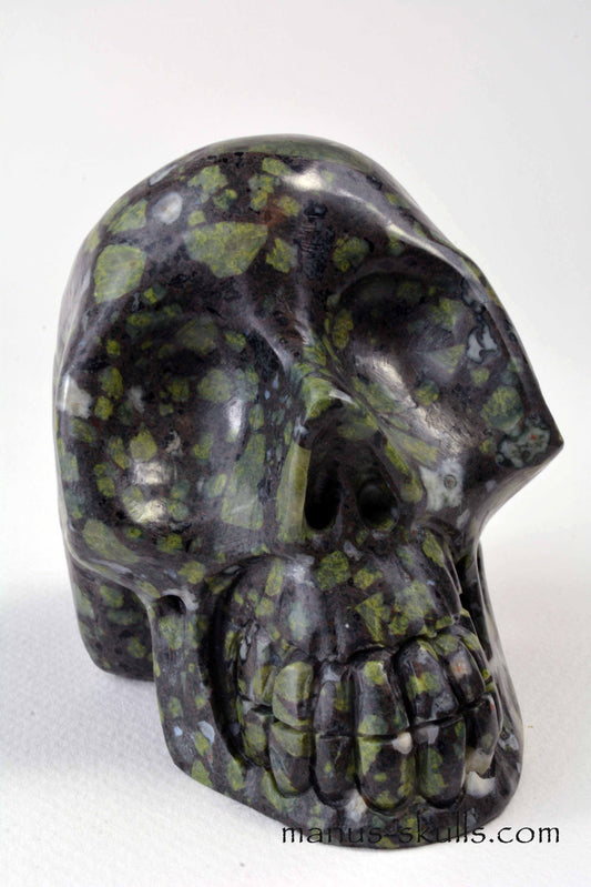 Lakelandite Skull