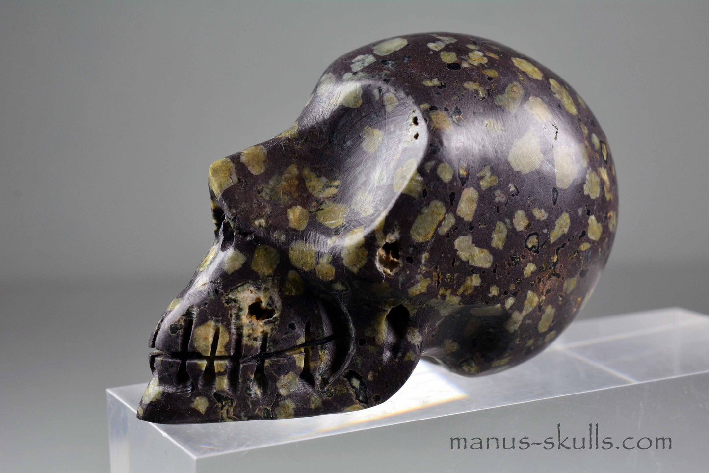 Lakelandite Skull