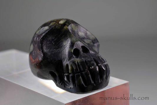 Lakelandite Skull