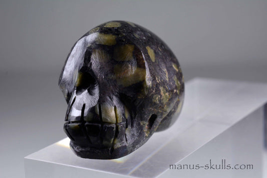 Lakelandite Skull