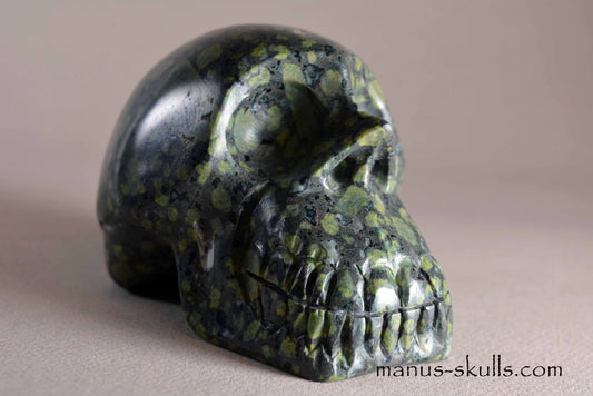 Lakelandite Skull