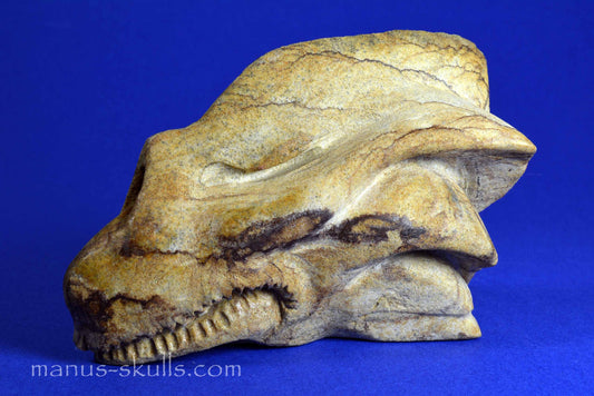 Landscape Jasper Dragon