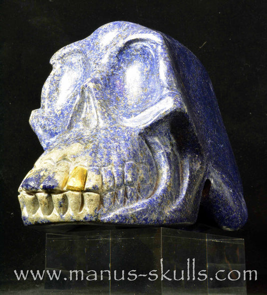 Lapiz Lazuli Skull