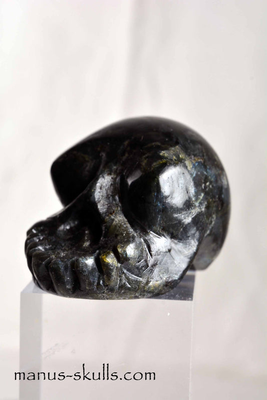 Larvikite Skull