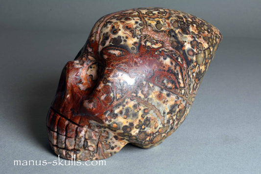Leopard Skin Jasper Skull