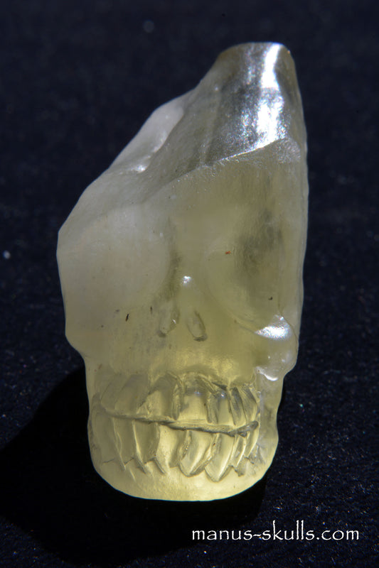 Libyan Dessert Glass Skull