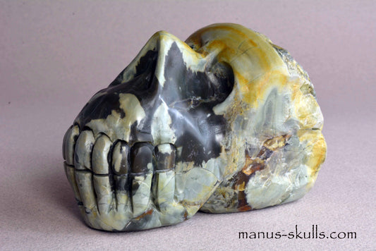 Lierbach Agate Litophyse Skull