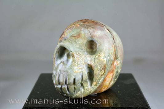 Lierbach Agate Litophyse Thunderegg Skull