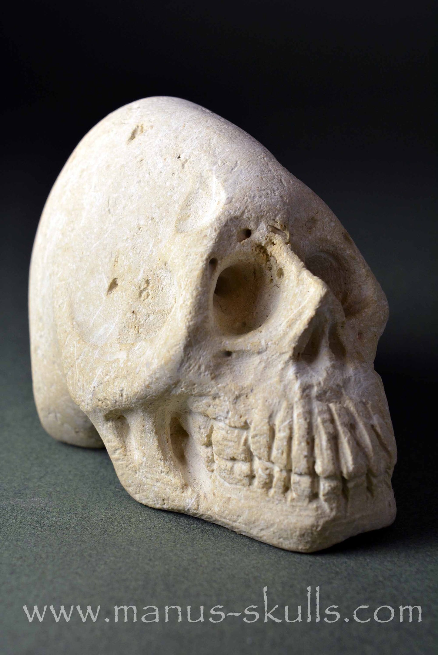 Limestone Skull