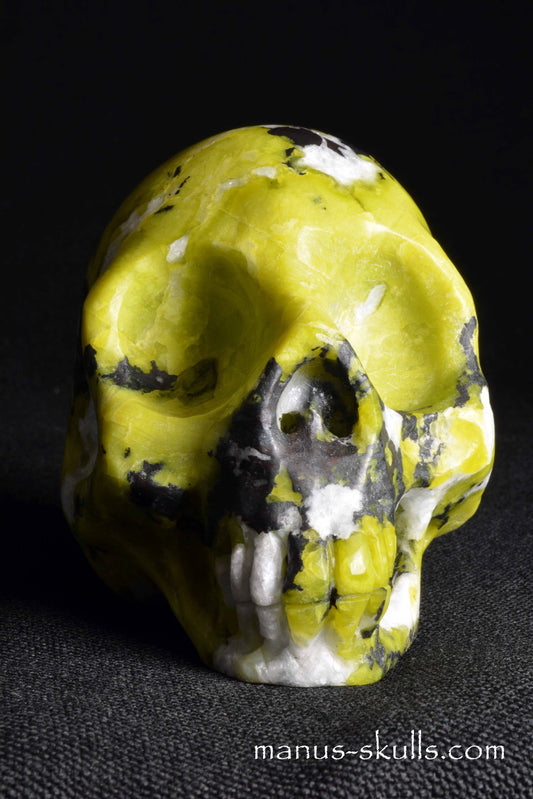 Lizardite Skull