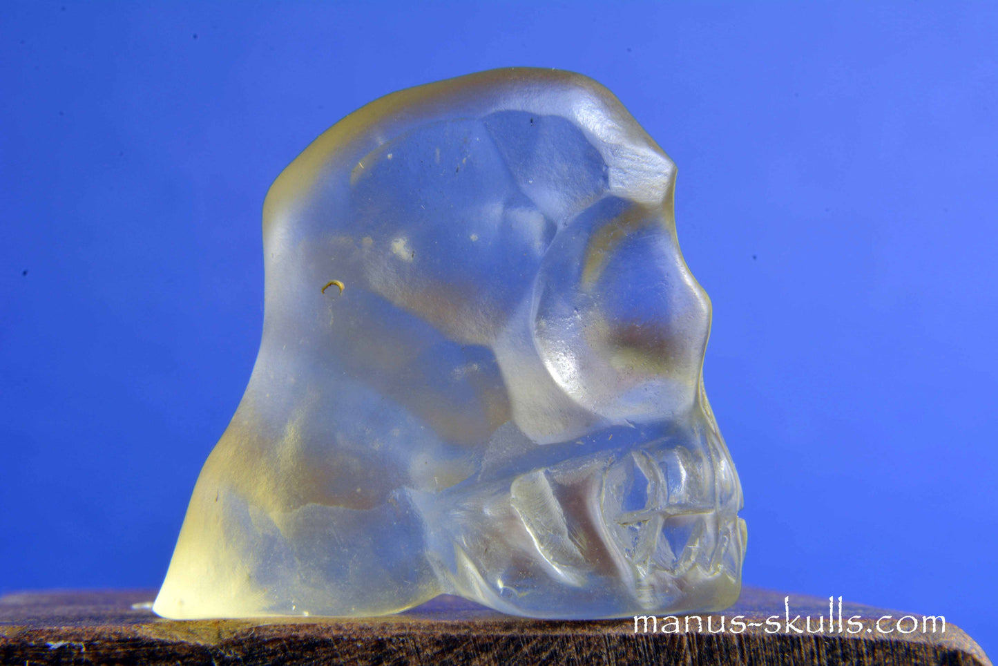 Libyan Desert Glass Skull