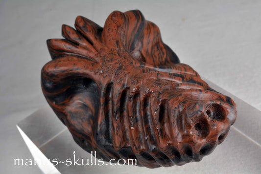 Mahogany Obsidian Dragon